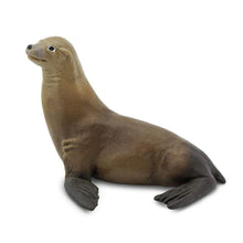 Safari Sea Lion