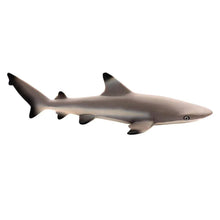 Safari Black Tip Reef Shark