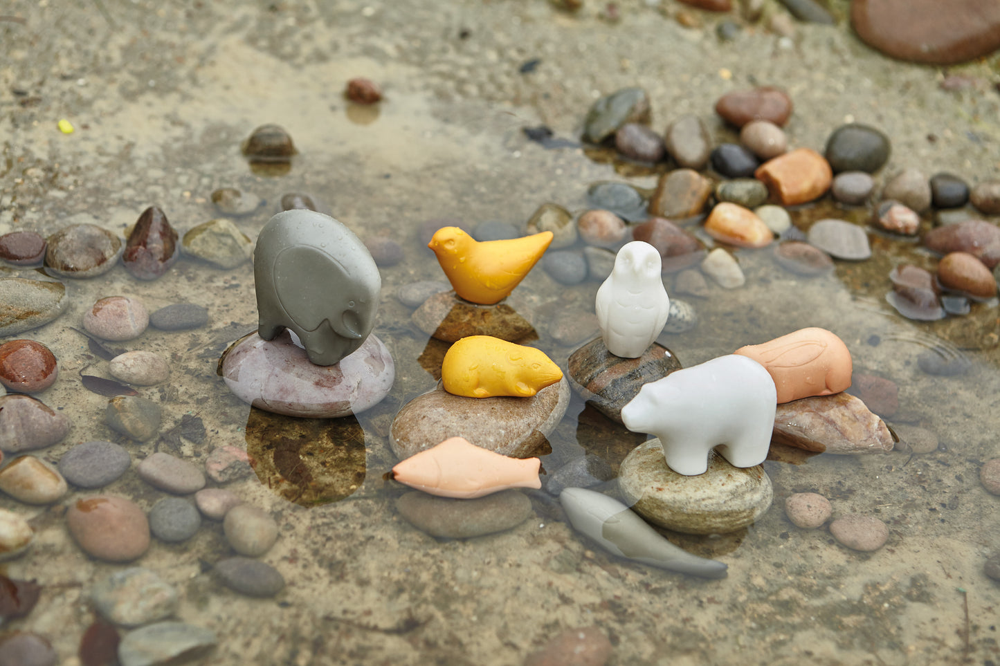 Yellow Door Animal Friends – Sensory Play Set