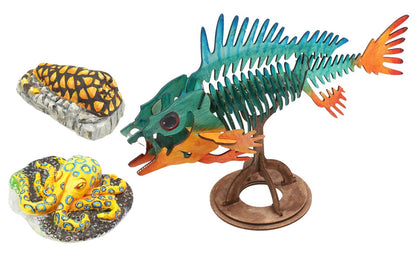 Wild Environmental Science Extreme Aquatic Predators of The World