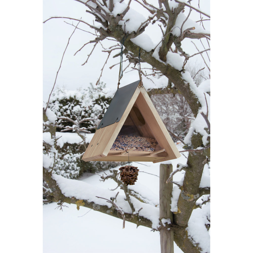 Haba Terra Kids Bird Box Kit