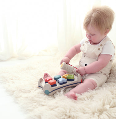 Tolo Bio Shape Sorter Playbench