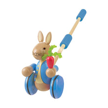 Orange Tree Toys Boxed Pushalong Peter Rabbitt