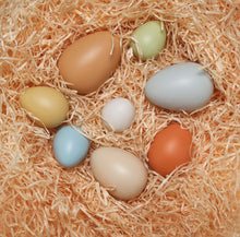 Yellow Door Size-Sorting Eggs