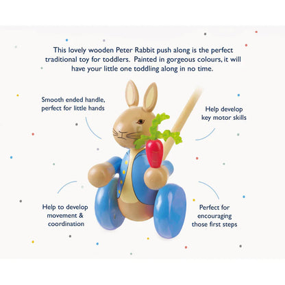 Orange Tree Toys Boxed Pushalong Peter Rabbitt