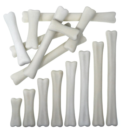 Yellow Door Dinosaur Bones Match and Measure Set