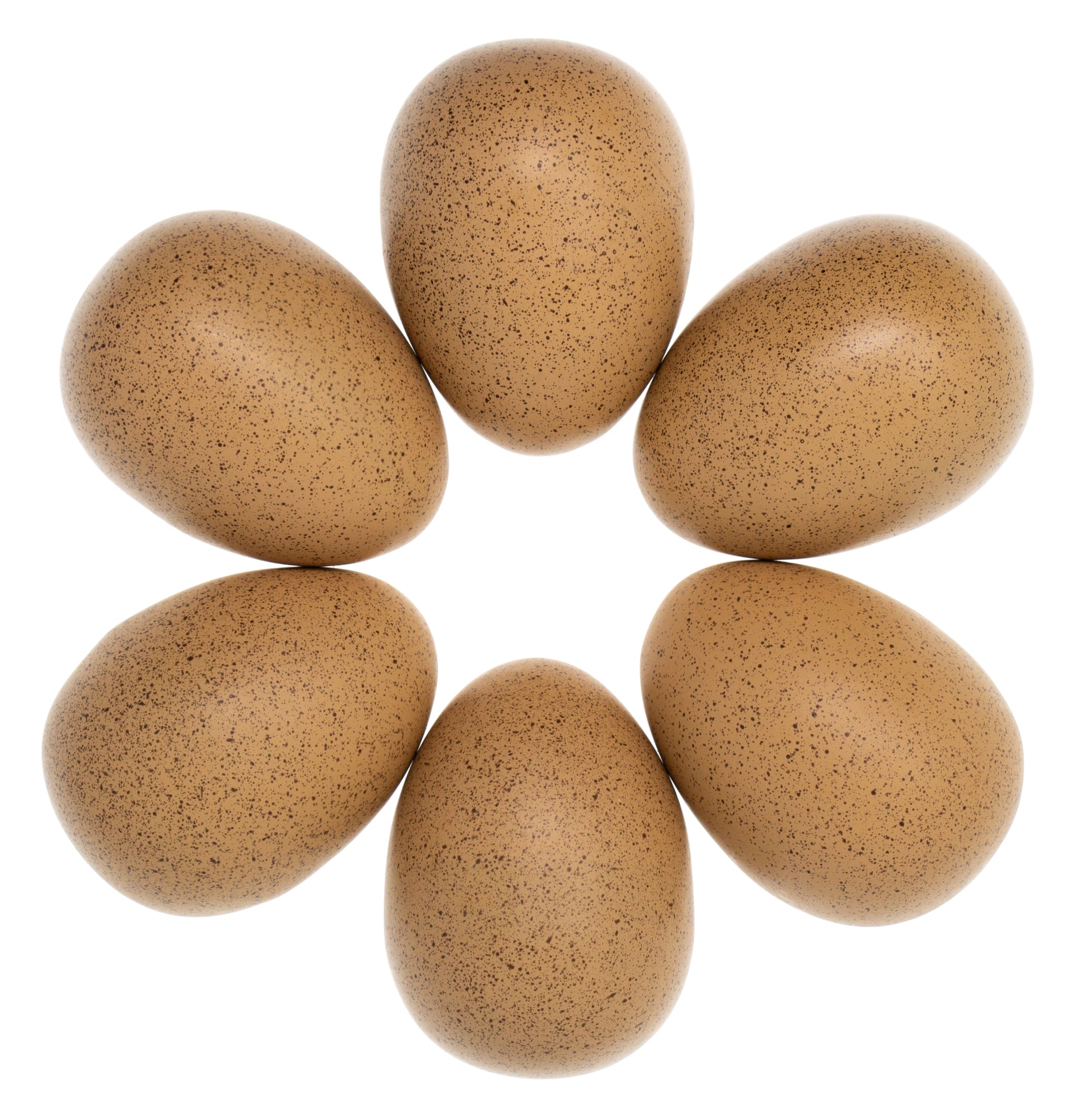 Yellow Door Sensory Sound Eggs