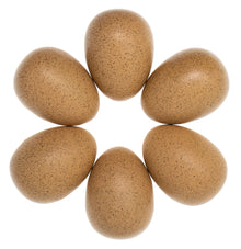 Yellow Door Sensory Sound Eggs