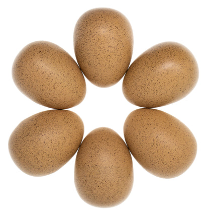 Yellow Door Sensory Sound Eggs