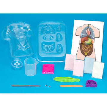 Thames & Kosmos Gross Anatomy