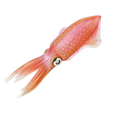 Safari Reef Squid