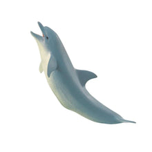 Safari Dolphin-S275329