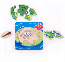 BigJigs Lifecycle Layer Puzzle - Frog