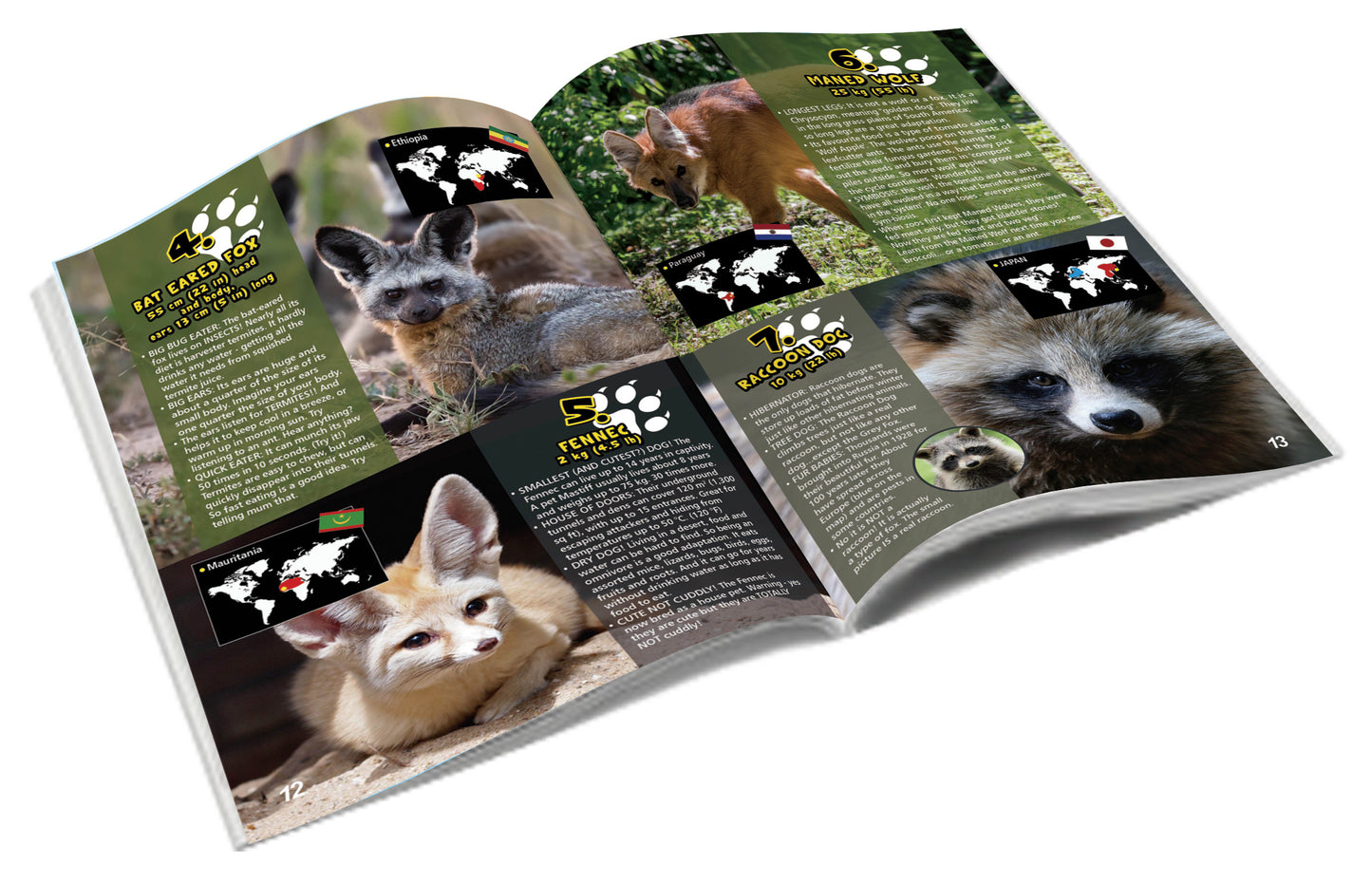 Wild Environmental Science Extreme Wild Dogs of the World