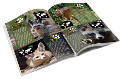 Wild Environmental Science Extreme Wild Dogs of the World