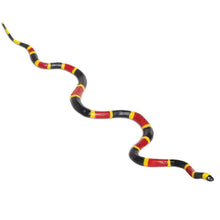 Safari Coral Snake