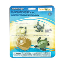 Safari Life Cycle of a Green Sea Turtle (4 Pieces)