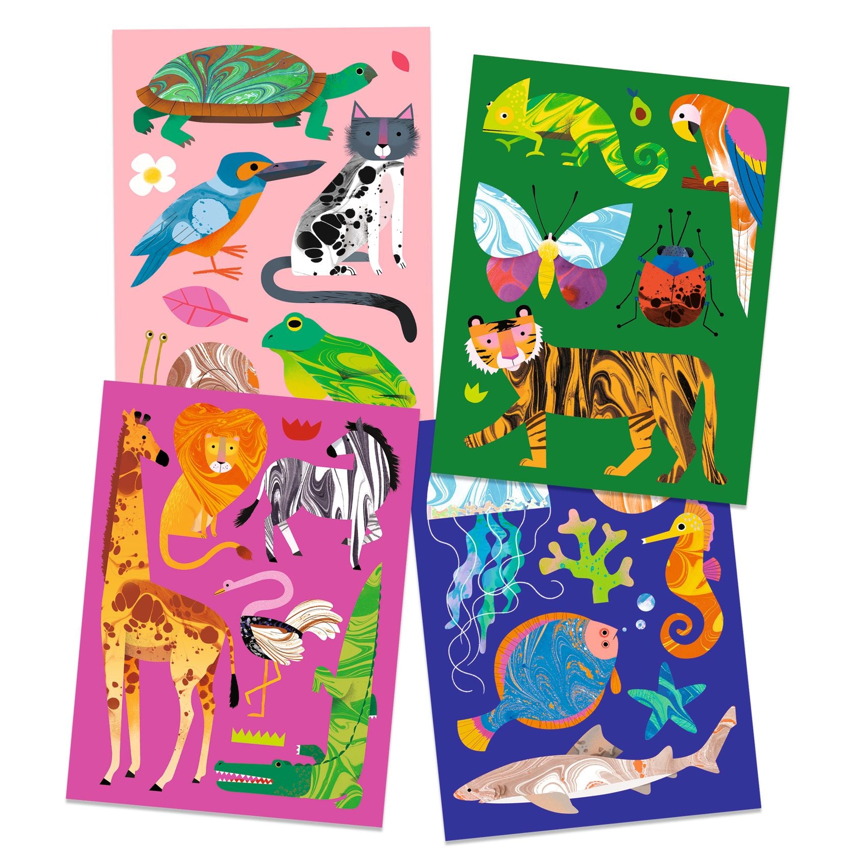 Djeco Colourful