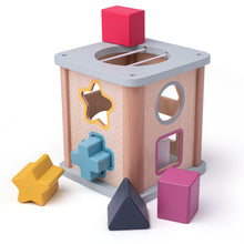 BigJigs Shape Sorter - FSC 100%