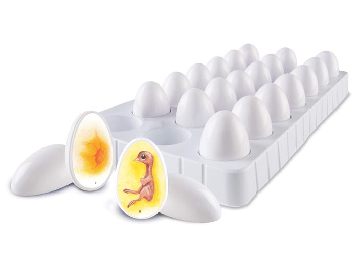 Learning Resources Chick Life Cycle Exploration Set