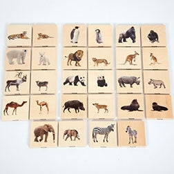 TickiT Wild Animal Family Match Set