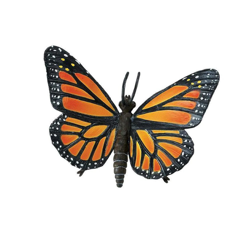 Safari Monarch Butterfly