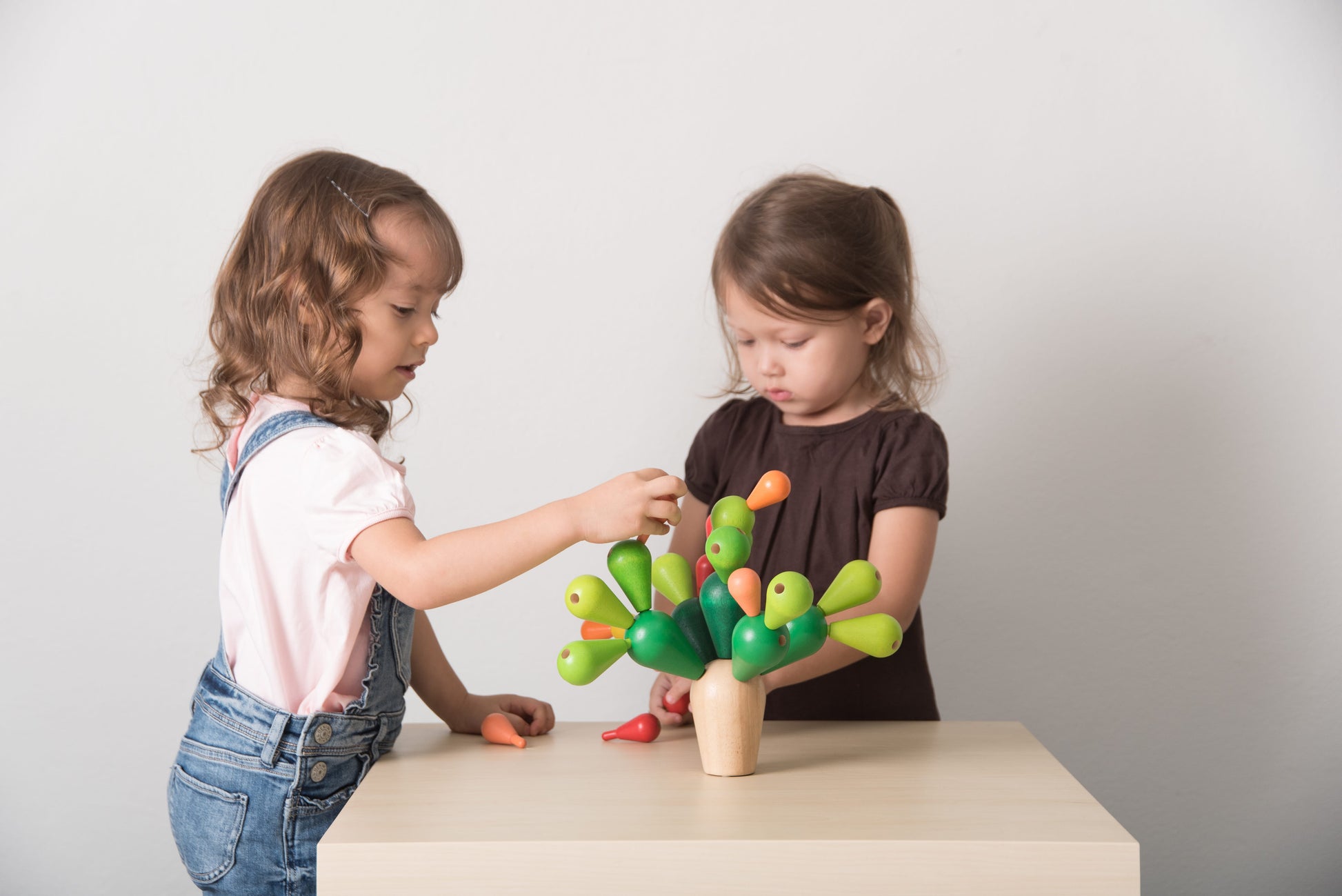PlanToys Balancing Cactus
