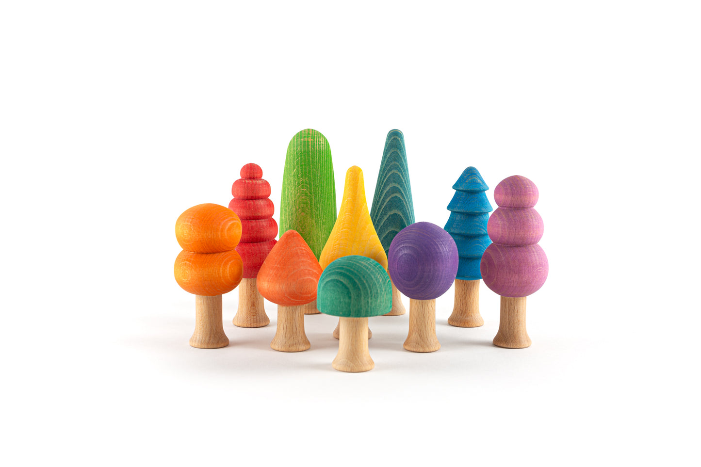 Ocamora Rainbow Forest