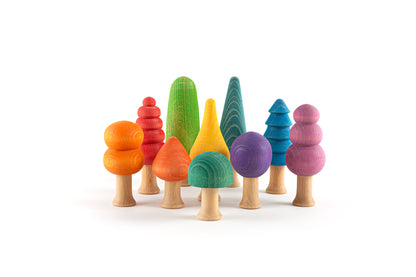 Ocamora Rainbow Forest