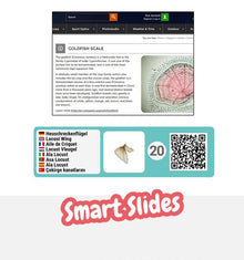 Bresser Junior Microscopy Set