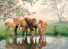 Cobble Hill Puzzles 350 Pieces Horse Family
