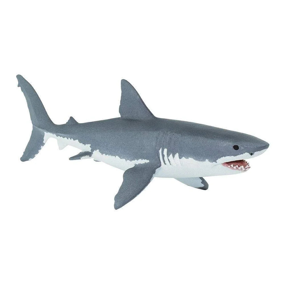 Safari Great White Shark-S200729