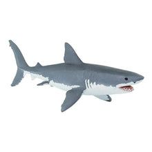 Safari Great White Shark-S200729