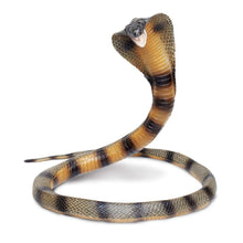 Safari Cobra