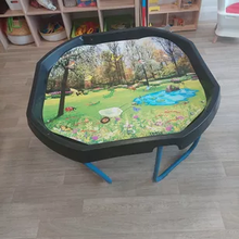 Duffy&Porter Insects And Birds Play Scene