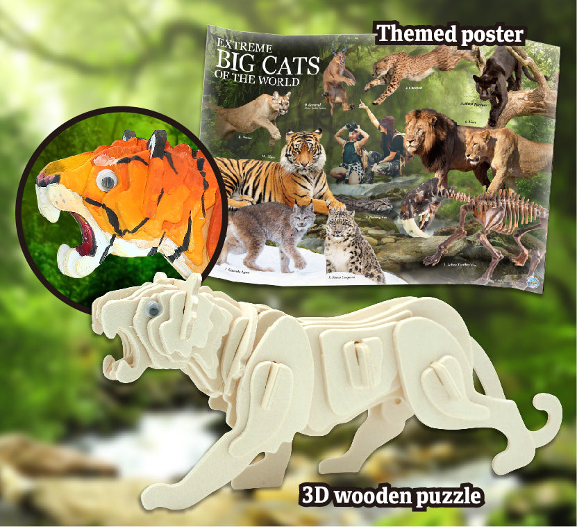 Wild Environmental Science Extreme Big Cats of the World