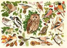 The House Of Puzzles Woodland Birds Big 500 Piece Jigsaw