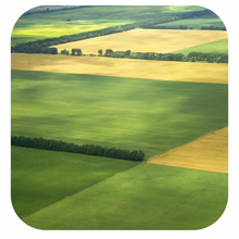 Duffy&Porter Field Play Scene