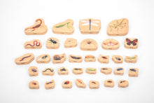TickiT Wooden Mini Beast Blocks