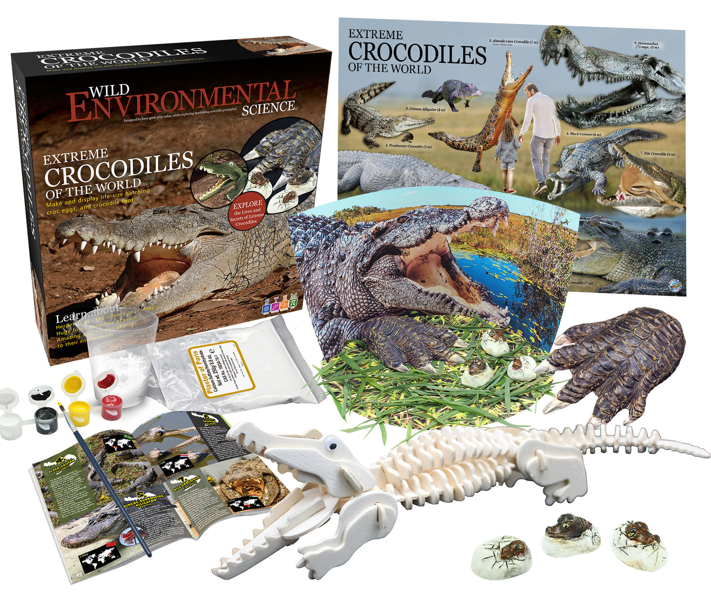 Wild Environmental Science Extreme Crocodiles of the World