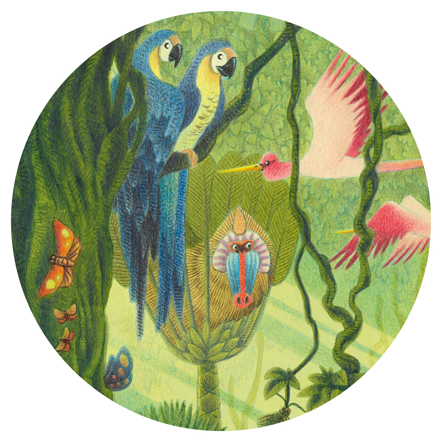 Djeco In The Jungle Silhouette Puzzles