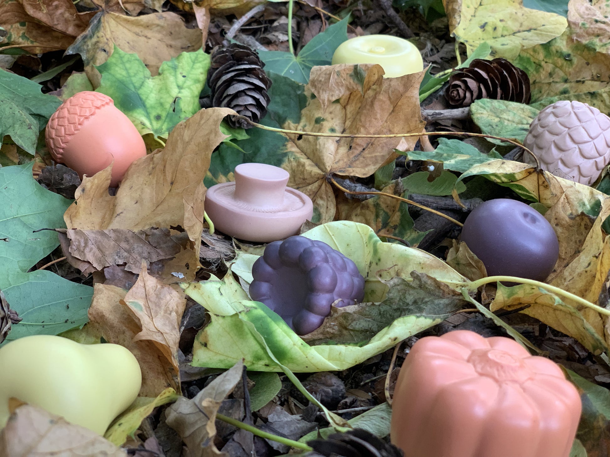 Yellow Door Feast of Nature – Sensory Play Set