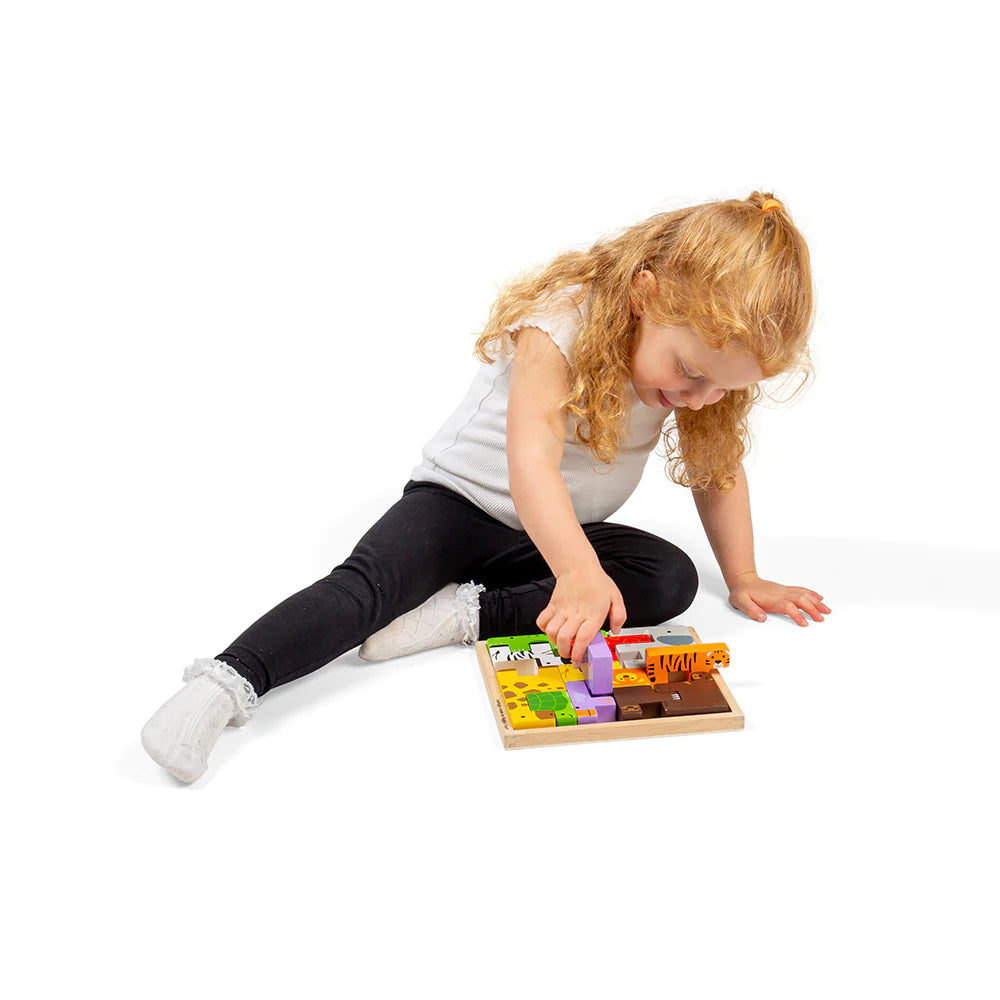 BigJigs Animal Lock-A-Block