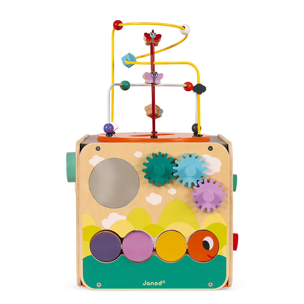 Janod Multi-Activity Looping Toy