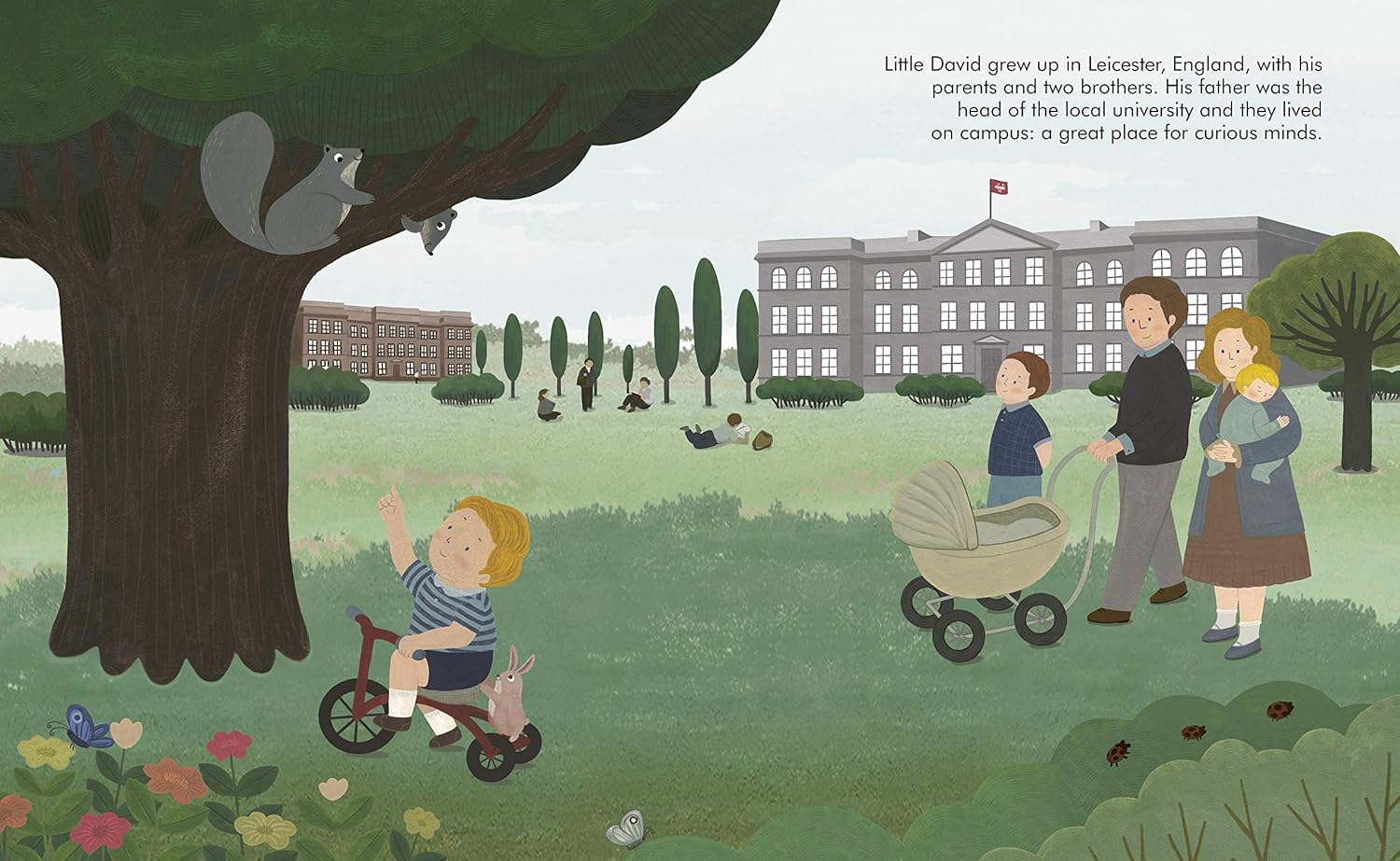 Little People Big Dreams David Attenborough Hardback Book