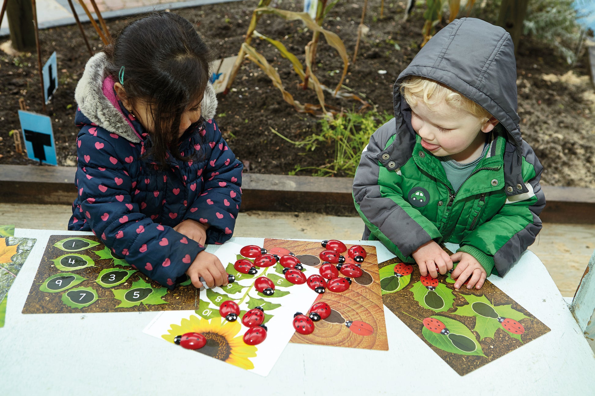 Yellow Door Ladybug Counting Cards