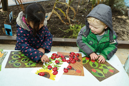 Yellow Door Ladybug Counting Cards