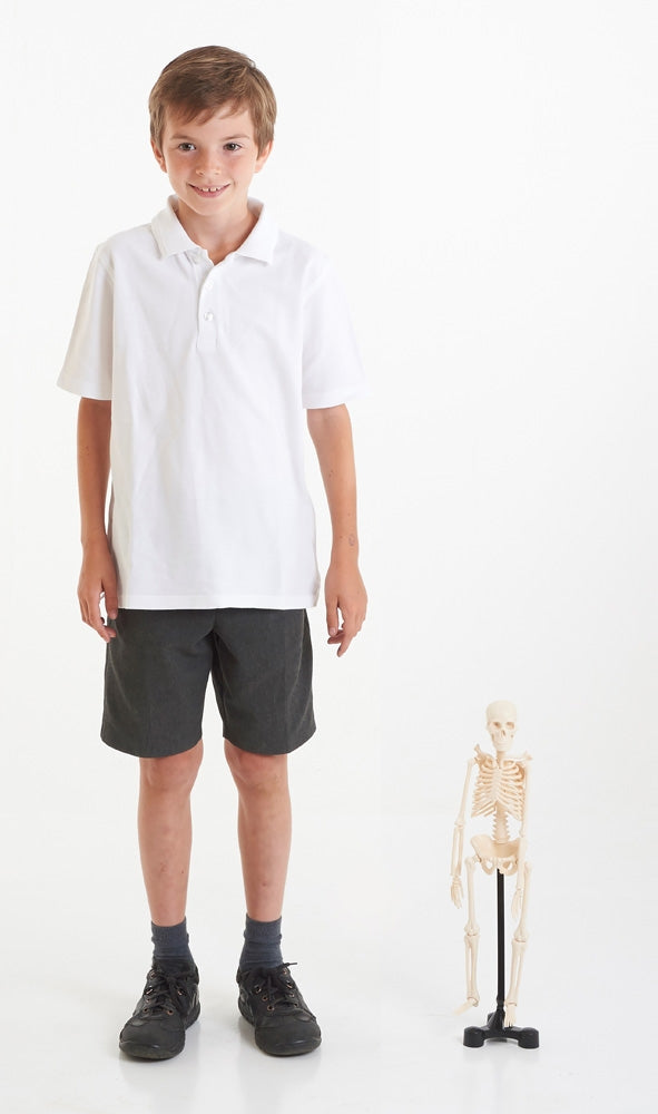 EDU-QI Mini Skeleton 46Cm