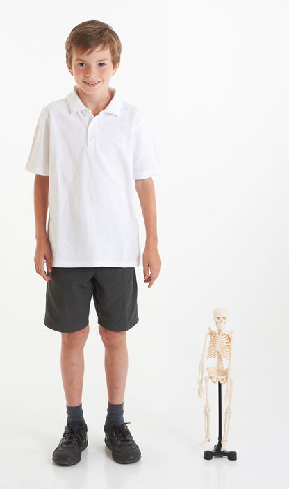 EDU-QI Mini Skeleton 46Cm