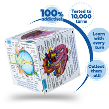 ZooBooKoo Human Body Cube Book